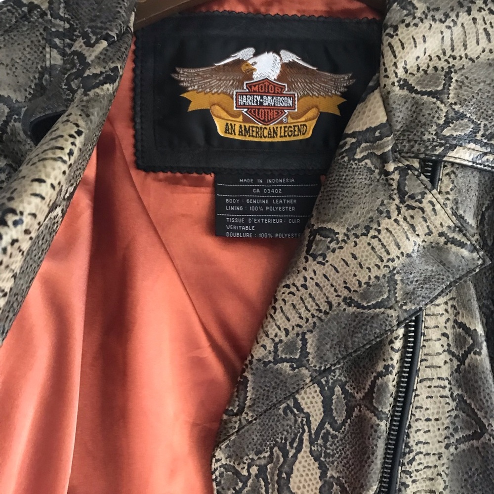 Harley Davidson Black And Python Snakeskin Leathe… - image 4